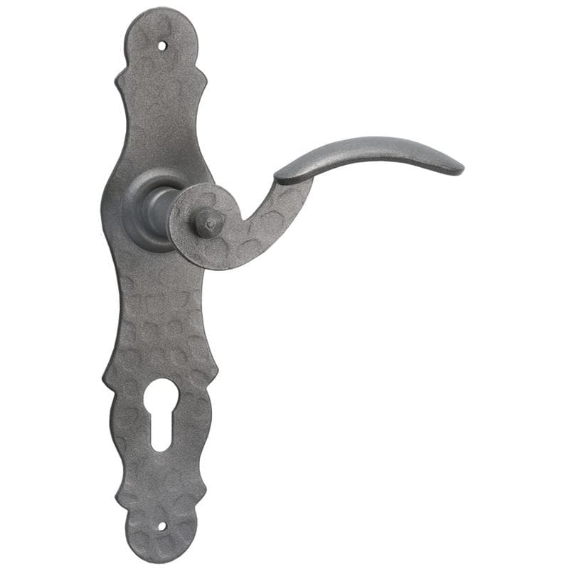 Maniglia con placca in Ferro - Immagine 1