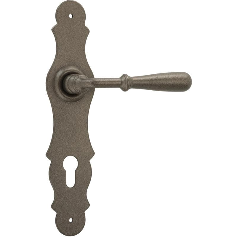 Maniglia con placca in Ferro - Immagine 1