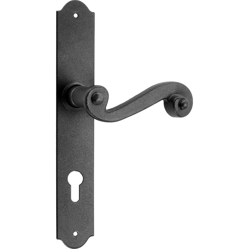 Maniglia con placca in Ferro - Immagine 1